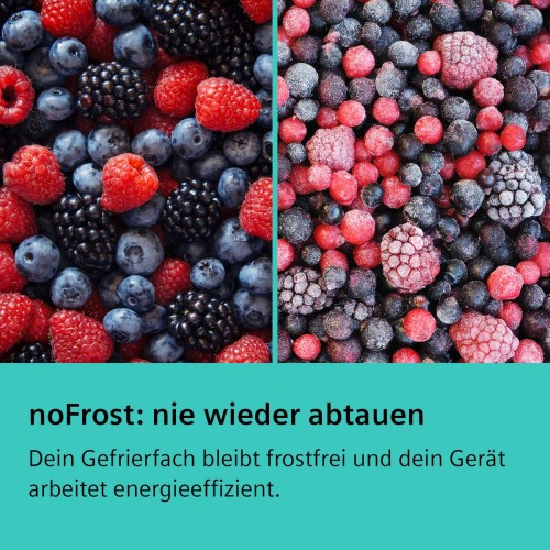 Siemens 363 L, KG39N2LAF – Combină frigorifică No Frost, Clasa A, import Germania 🇩🇪