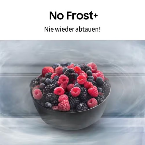 Samsung 341L RL34C652CSA – Combină frigorifică – Clasa C – Dozator apă – SmartThings – Import Germania 🇩🇪